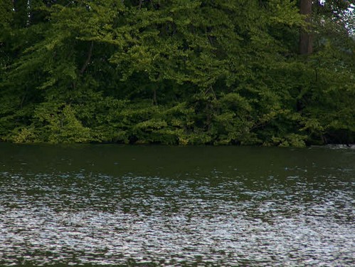 2005  Rønninge Søgaard billedeserier_34.jpg