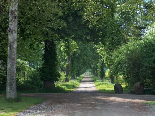2005  Rønninge Søgaard billedeserier_47.jpg