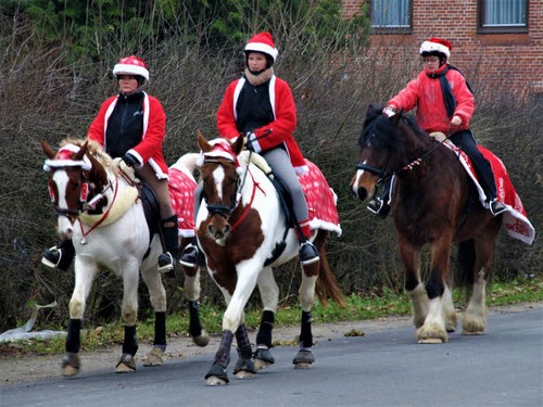 2008 Juleridning billedeserier_09.jpg