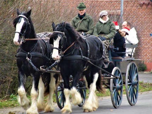 2008 Juleridning billedeserier_10.jpg
