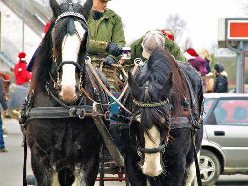 2008 Juleridning billedeserier_33.jpg