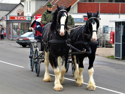 2008 Juleridning billedeserier_39.jpg