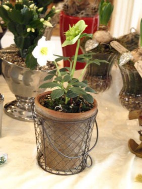2012 Julestue i Kullerup Forsamlingshus billedeserier_16.jpg