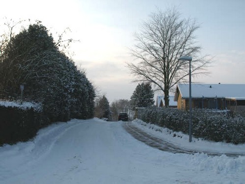2013 En vinterdag i Ellinge billedeserier_17.jpg
