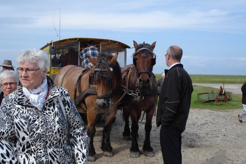 2013 Husholdningsforeningens udflugt billedeserier_08.jpg