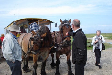 2013 Husholdningsforeningens udflugt billedeserier_09.jpg