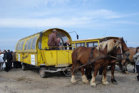 2013 Husholdningsforeningens udflugt billedeserier_10.jpg