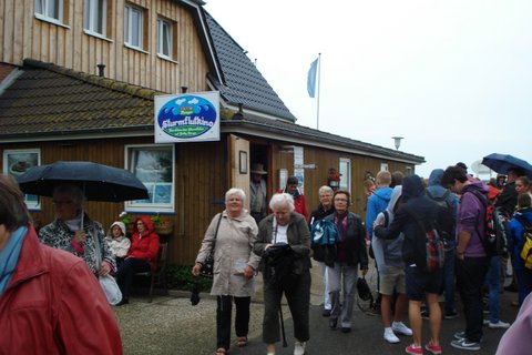 2013 Husholdningsforeningens udflugt billedeserier_12.jpg
