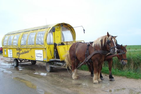 2013 Husholdningsforeningens udflugt billedeserier_19.jpg